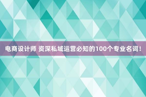 电商设计师 资深私域运营必知的100个专业名词！