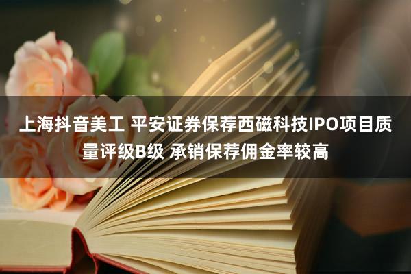 上海抖音美工 平安证券保荐西磁科技IPO项目质量评级B级 承销保荐佣金率较高