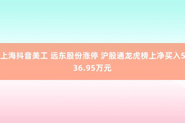 上海抖音美工 远东股份涨停 沪股通龙虎榜上净买入536.95万元