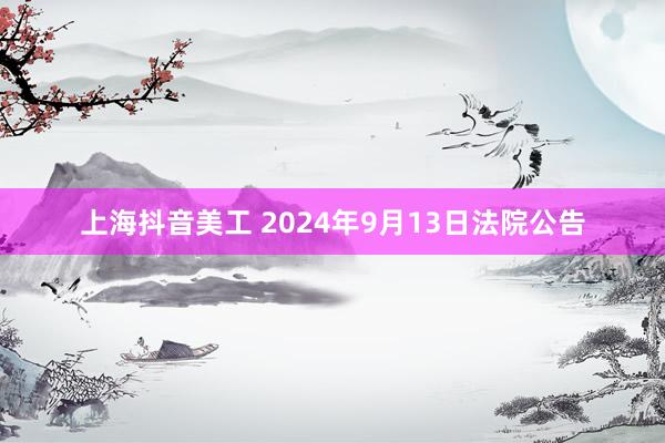 上海抖音美工 2024年9月13日法院公告