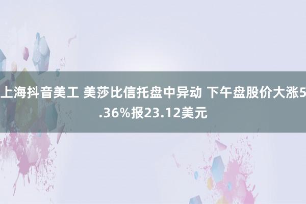 上海抖音美工 美莎比信托盘中异动 下午盘股价大涨5.36%报23.12美元